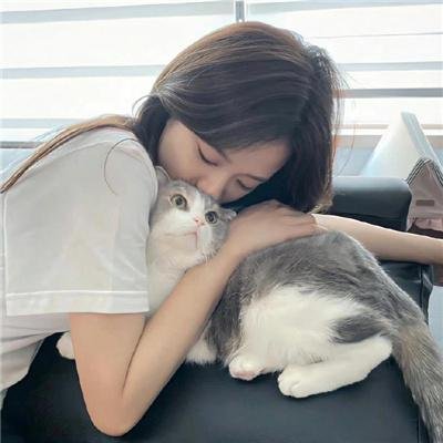 维也纳之舞